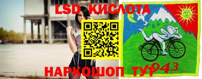прущие грибы Кулебаки