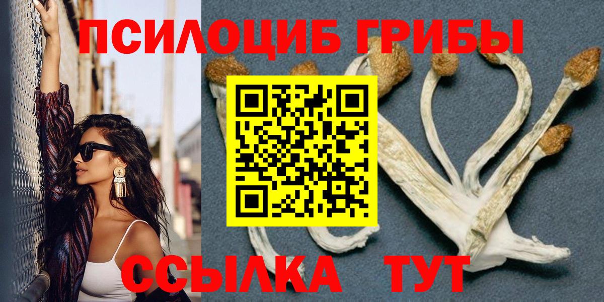 Казань  Галлюциногенные грибы ЛСД  Галлюциногенные грибы Magic Shrooms  Вход с VPN 