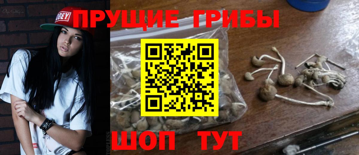 Галлюциногенные грибы прущие грибы Казань
